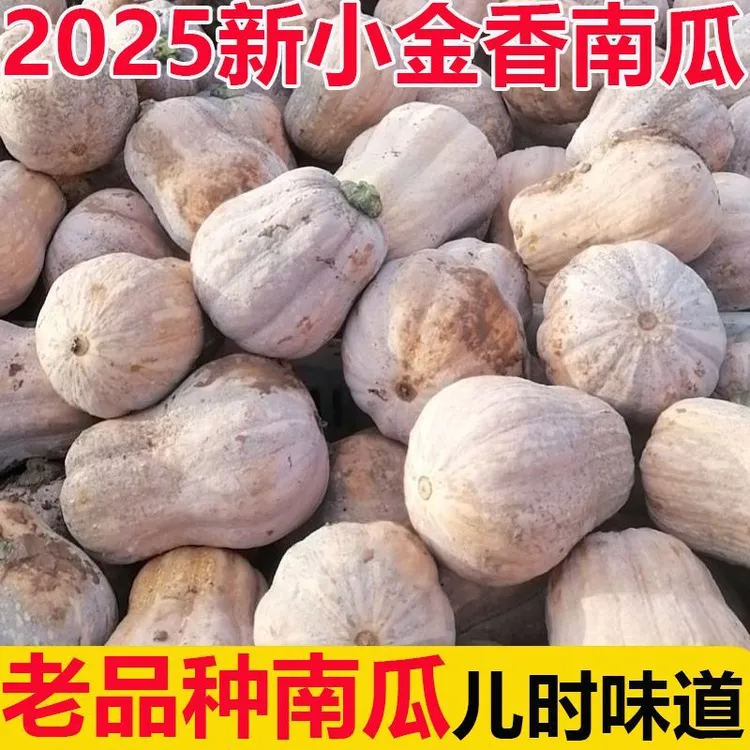 自冉香河南小金香板栗南瓜农家自种蔬菜花生南瓜贝贝南瓜软糯香甜