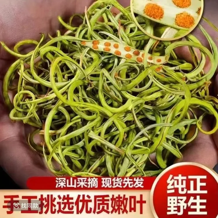 嗷嗷/叫茶长白山东北 干化石草 黄金草 茶长白山深山小草煮水