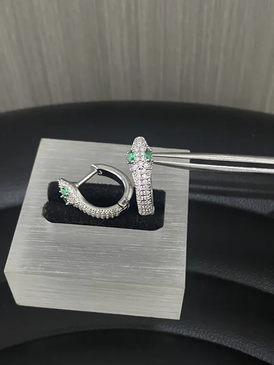 钛钢锆石耳饰 灵蛇钛钢直杆耳扣镶钻个性高级感百搭轻奢耳垂扣