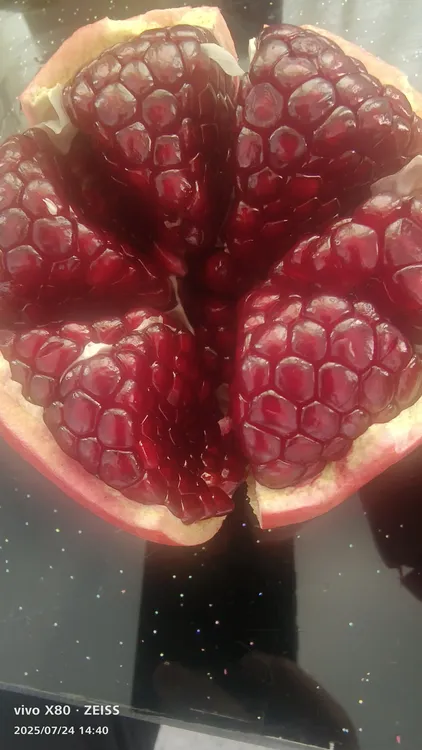 四川会理突泥斯软籽石榴