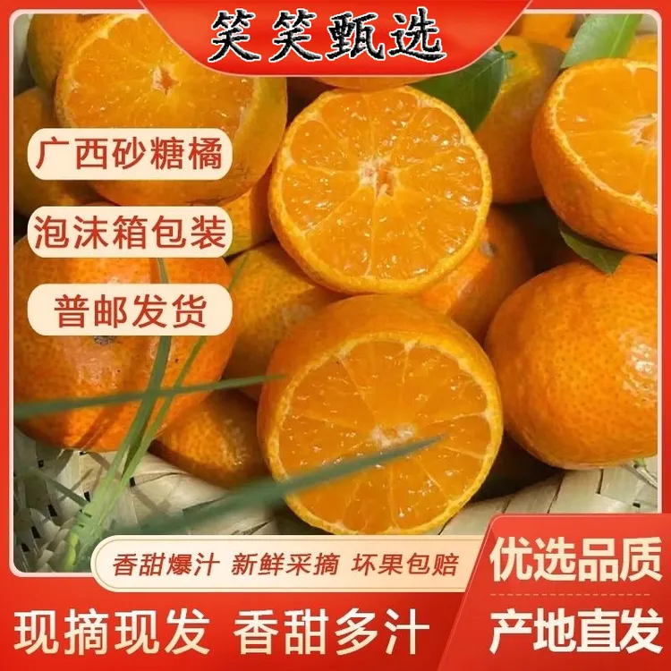 【10斤装】正宗广西桂林永福砂糖橘 应季水果 果园现摘 产地直发