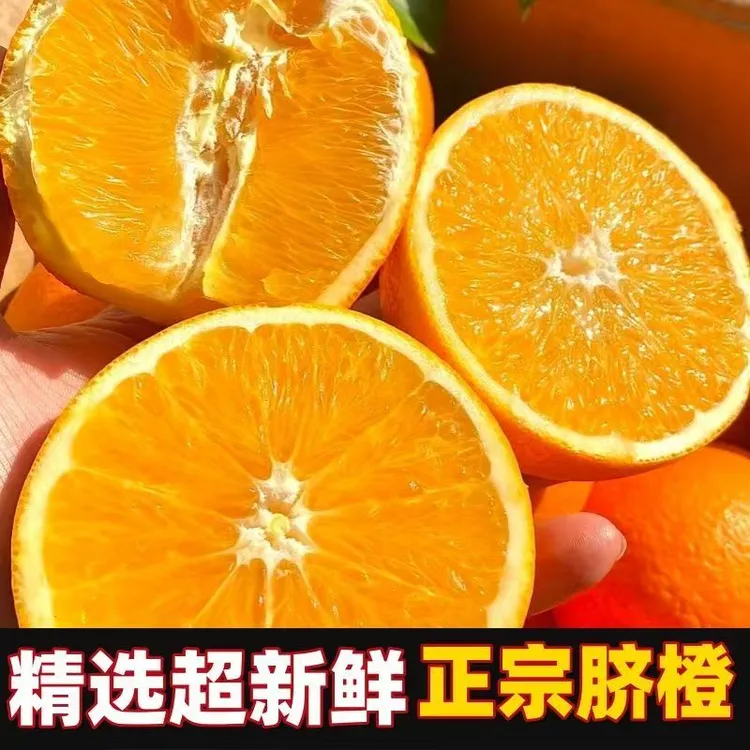 【正宗高山脐橙】纽荷尔脐橙果园直发新鲜多仓发货