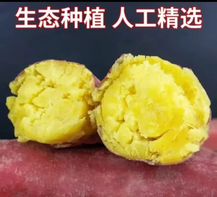 【坏果包赔】沙地板栗红薯粉糯香甜地瓜番薯