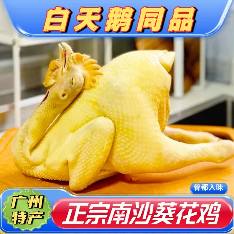 【生鸡1只 210天】著名南沙葵花鸡 （非直播间购买不享任何活动）