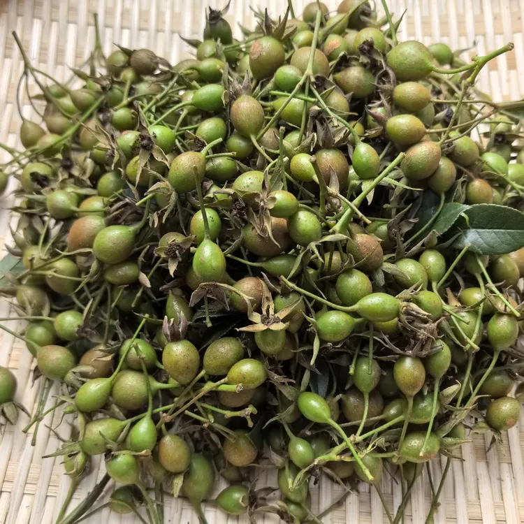 贵州野生新鲜无刺金樱子泡酒药材蜂糖罐子深山刺梨果贵州糖糖罐