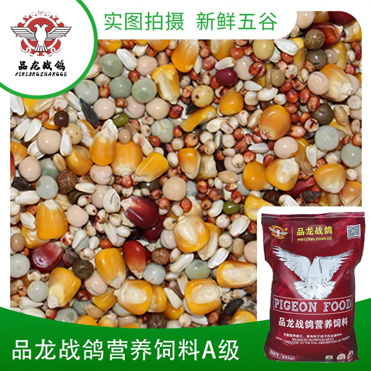 品龙战鸽鸽粮50斤带玉米营养鸽子粮食信鸽鸟食批发鸽饲料包邮