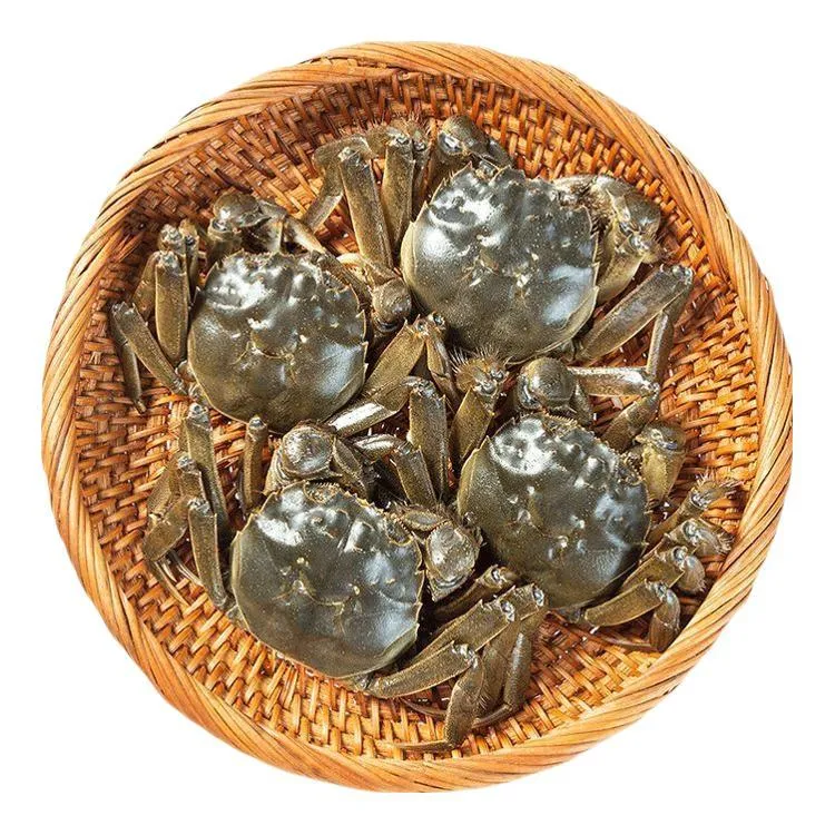 鲜活小螃蟹六月黄二元一元蟹只只有黄