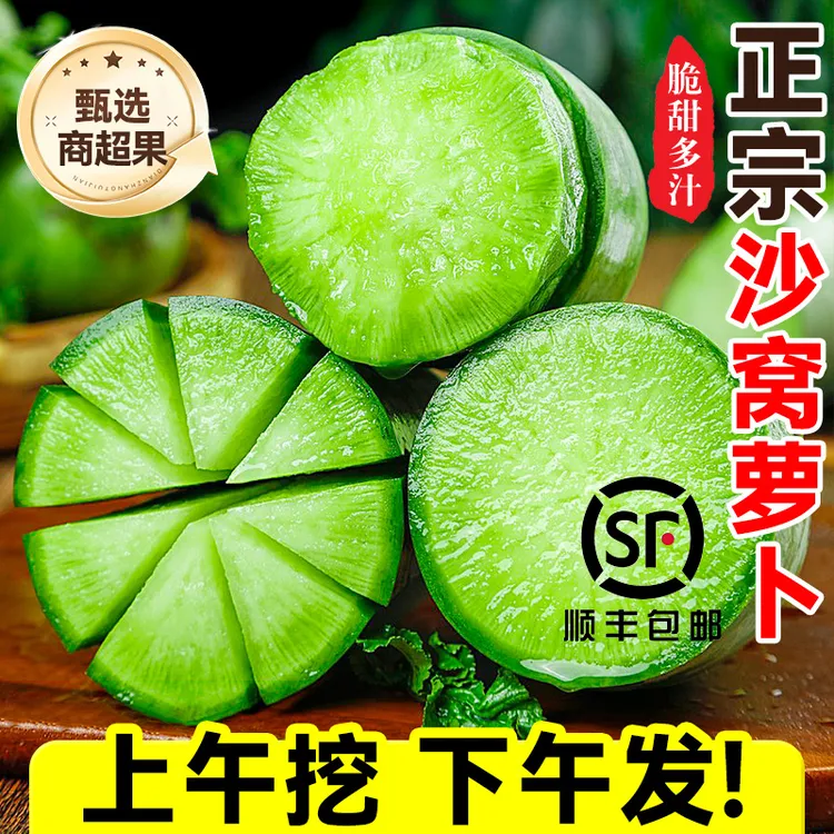 正宗天津曙光沙窝萝卜金星（天星二号）沙窝萝卜5斤/8斤