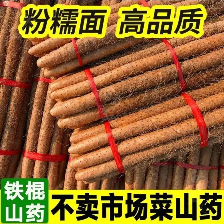 正宗垆土铁棍山药新鲜现挖粉糯香甜原产地直发小山药生脆山药炖汤