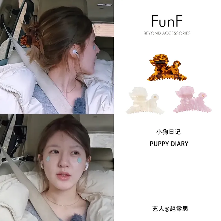 FunF/乐纷绮 赵露思明星同款气质轻奢法式抓夹醋酸发夹 小狗日记H