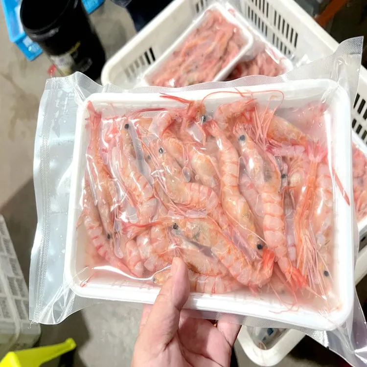 惠来澳角码头野生浅海红虾5斤新鲜美味，适合生腌，爆炒包甜