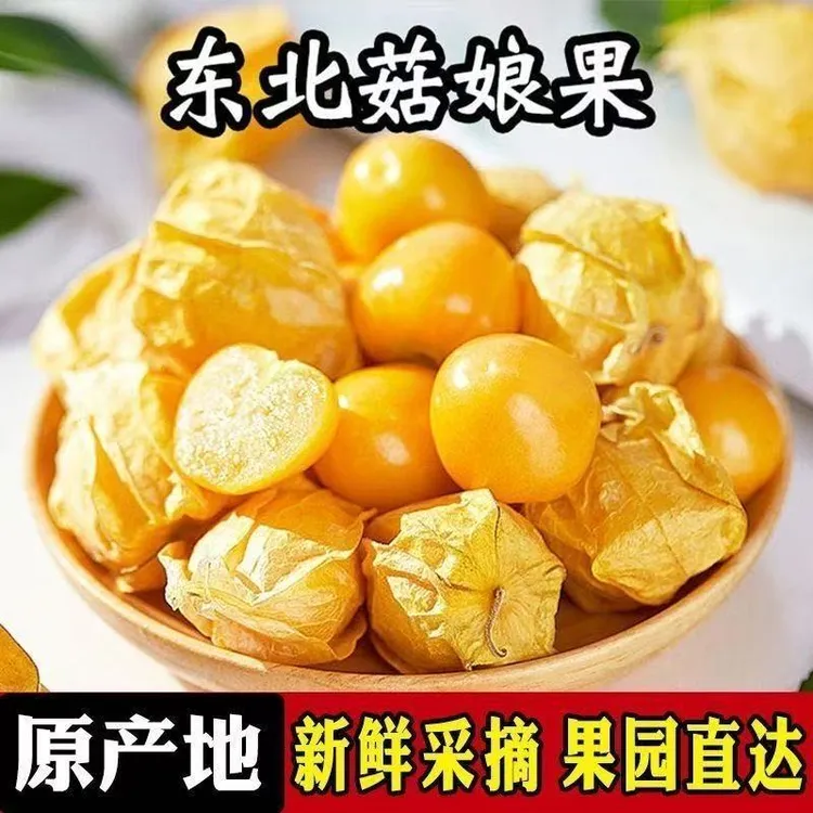 东北特产姑娘果新鲜当季清甜多汁稀有水果灯笼果
