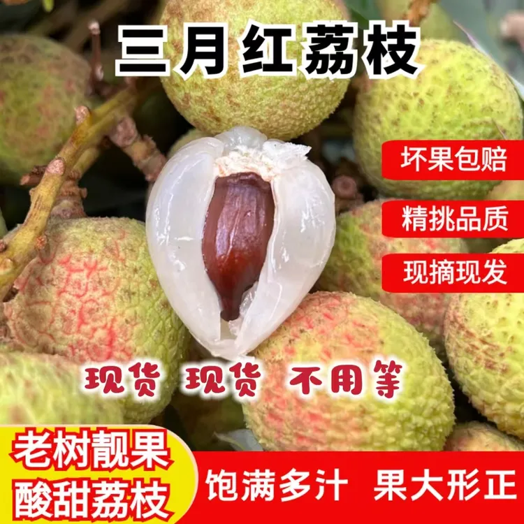 【尝鲜限量低价】新鲜荔枝早期三月红当季水果酸甜多汁孕妇整箱批发