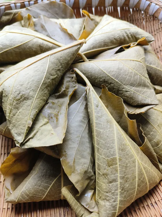 重庆黔江新鲜现包桐子叶玉米粑粑