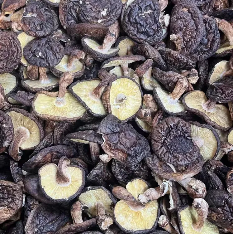 土家农户现收香信菇家庭食用干香菇干货精选