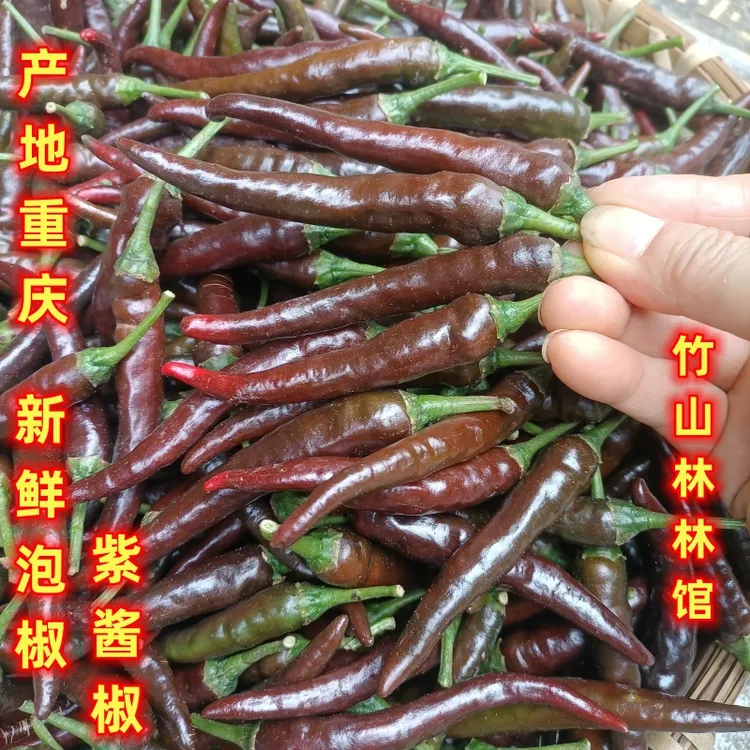 新鲜农家自种青红辣椒特辣薄皮紫辣椒酱泡椒重庆四川特产乌红辣椒