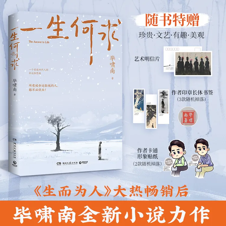 一生何求（《生而为人》大热畅销后，毕啸南全新小说力作，书写一