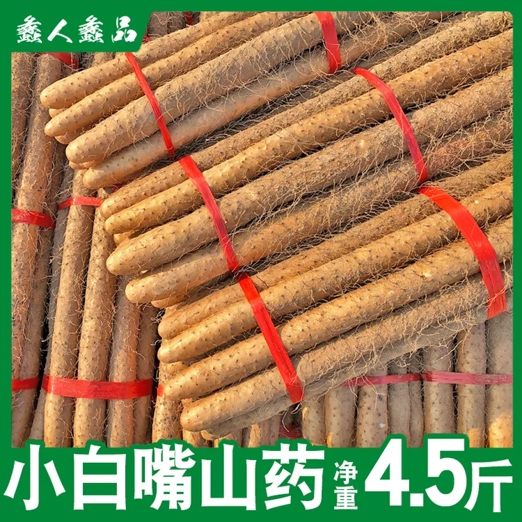 蠡人蠡品新鲜现挖软糯香河北蠡县小白嘴山药4.5斤装