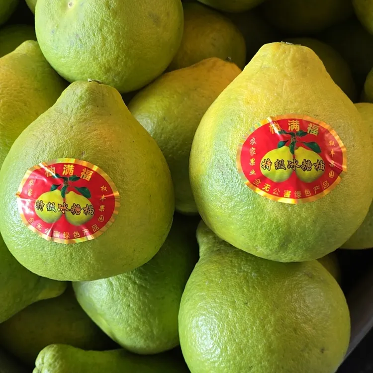 梅县权丰果园有机沙田柚果园直发