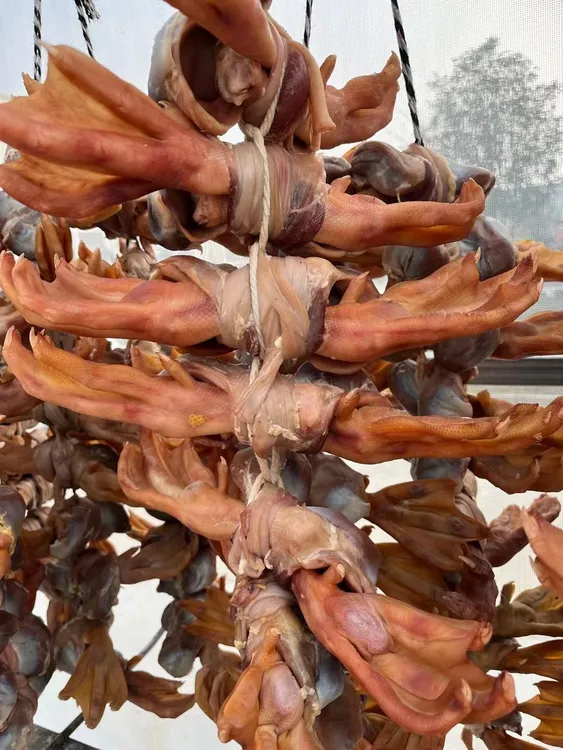 老鹅爪老鹅胗特大安徽六安咸货年货农家干货咸货鹅肾礼盒