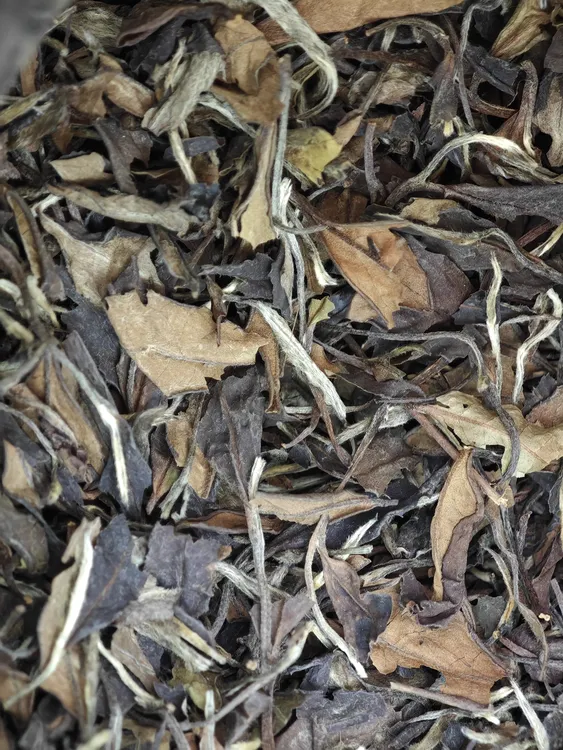 2013福鼎老白茶寿眉散茶潘溪高山茶枣香药香陈香茶叶