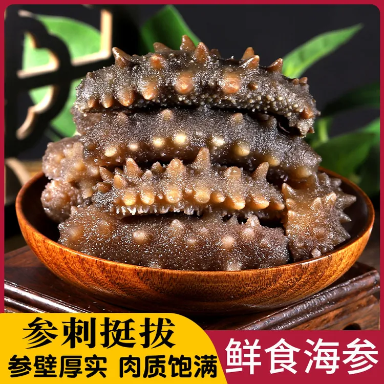 精品海参鲜食海参商用批发新鲜淡干海参刺参非干货鲜食500g
