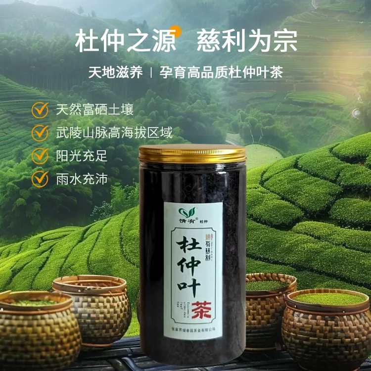 情有杜仲茶张家界慈利高山老树嫩叶富硒绿原酸养生茶杜仲叶茶好物