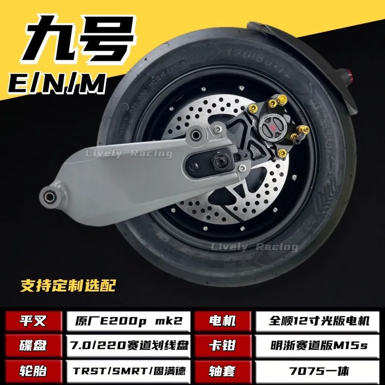 全顺光板电机12寸2000/3000w九号E/N/M系列直上E200P平叉后轮套装