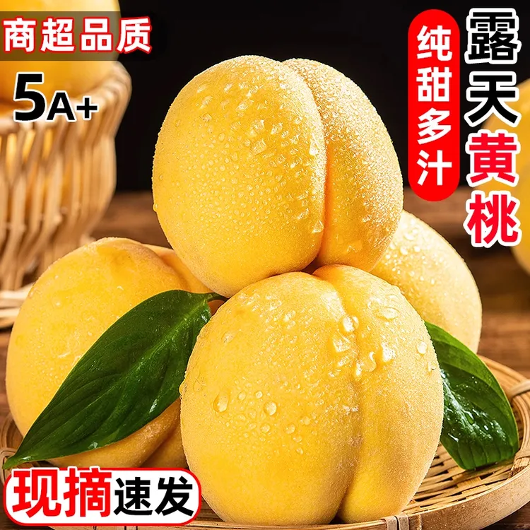 黄桃泗洪祖姚黄金蜜桃新鲜水果锦绣当季时令黄毛桃整箱大桃子包邮