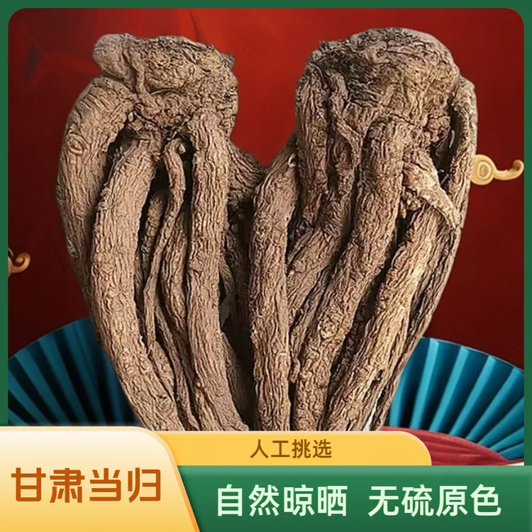 甘肃当归无硫新货油脂油圈整根发货原色产地直发人工挑选阳光晾晒