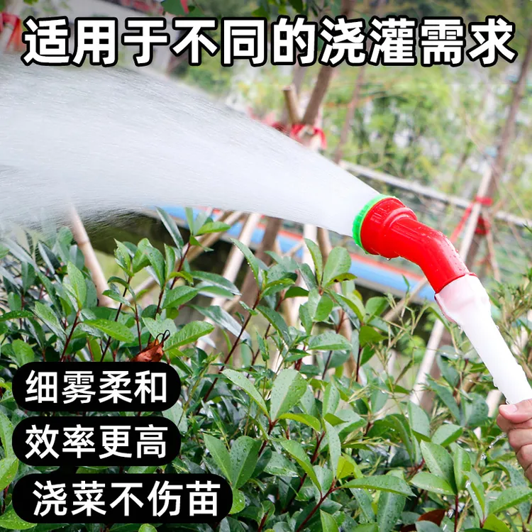 抢!【两件套】喷雾水枪浇花浇菜灌溉育苗通用农业水管花洒商品图