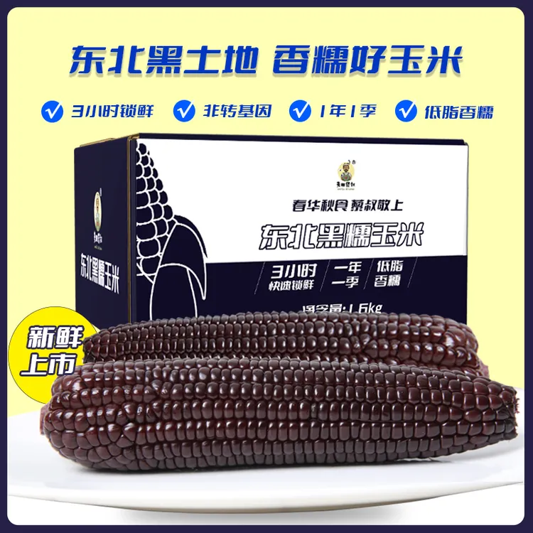 麦田藜叔黑糯玉米东北黑玉米低脂饱腹1.6kg商品图