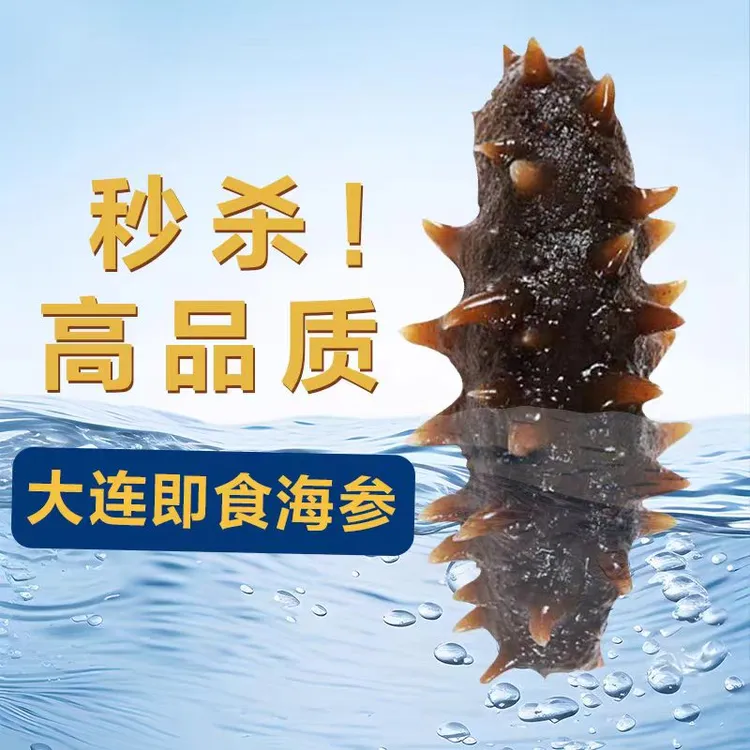 海参大连深海鲜食辽刺参单支真空包装免泡发Q弹有嚼劲