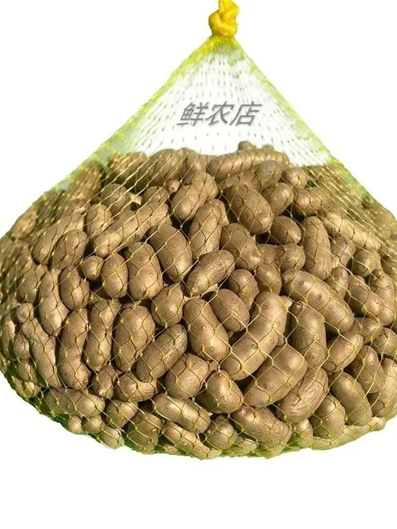 蠡县产地山药豆软糯香甜薄皮饱满可蒸煮炒营养佳品