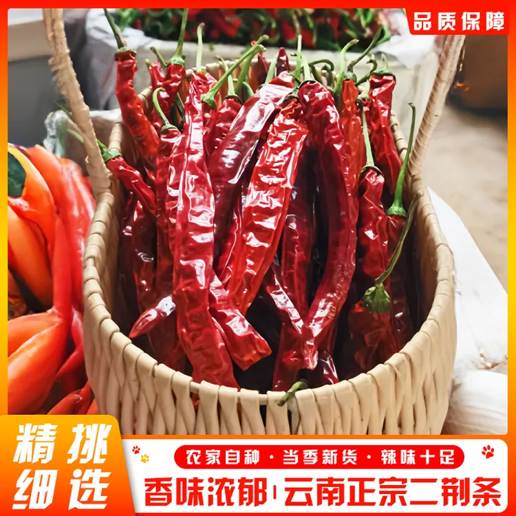 当季新货二荆条干特产微辣特香农家味道湖南辣椒新鲜