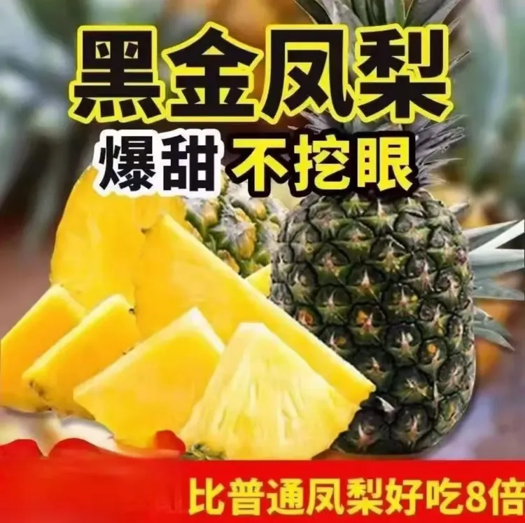 云南直发新鲜树上现摘黑钻钻凤梨爆甜多汁热带水果徐闻菠萝