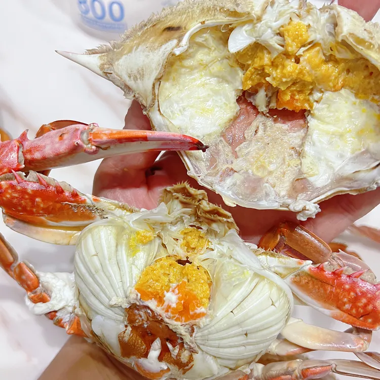 【抄底价红黄母蟹】莱州梭子蟹红膏4-6两只斤【保鲜不保活】山东包邮