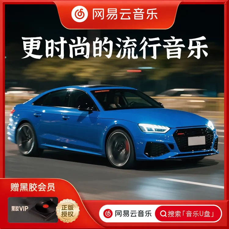 【正版母带】2025网易云新款品牌音乐U盘 高品质真无损车载音乐DJ