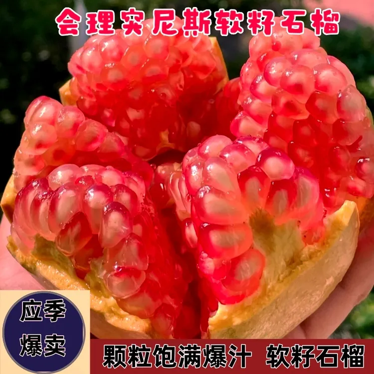 四川会理突尼斯软籽石榴坏果包赔新鲜直发爆甜应季水果现摘礼盒装