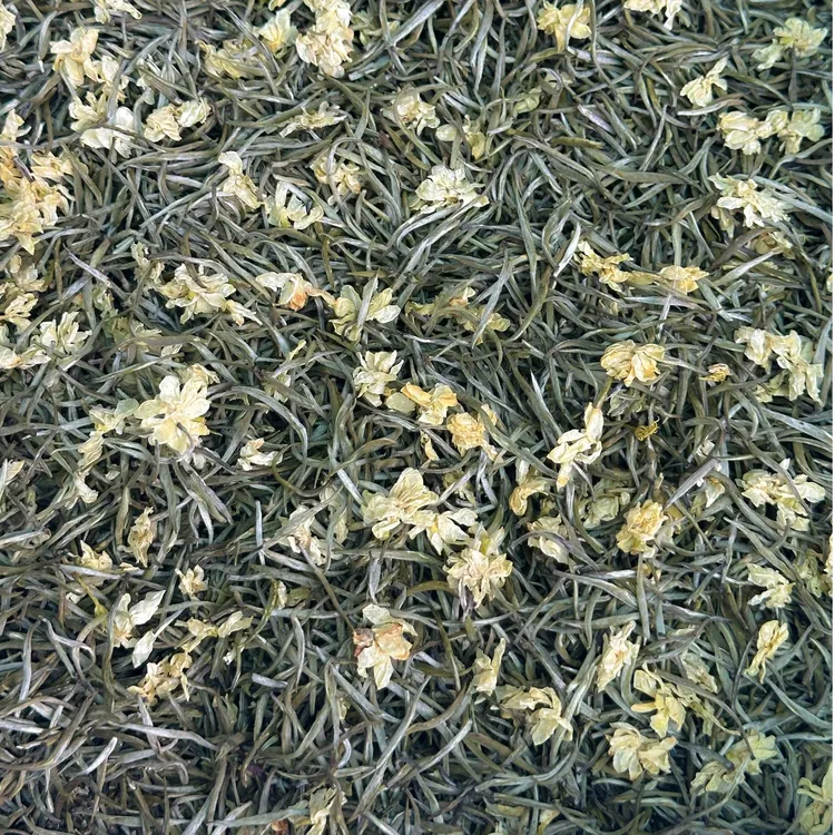樽旺龙全芽头新茶茉莉雪竹茉莉花香鲜爽回甘