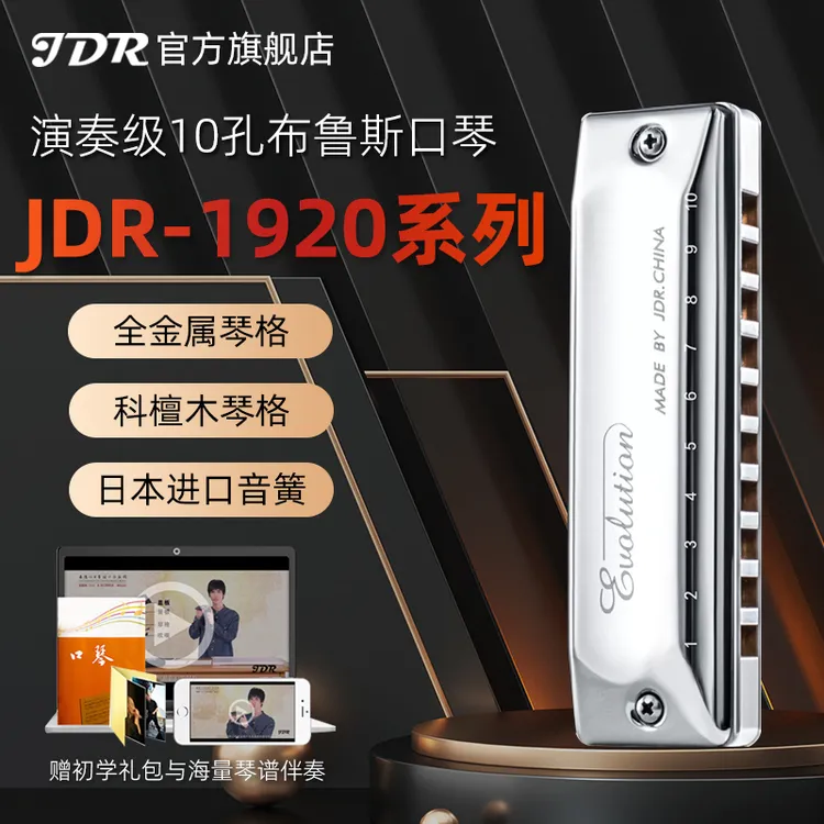 JDR/嘉德瑞EVA-1920十孔布鲁斯蓝调口琴专业演奏10孔初学者paddy