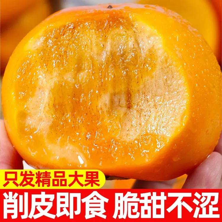 巧克力脆柿子新鲜当季甜脆柿子整箱批发应季水果脆甜多汁柿子包邮