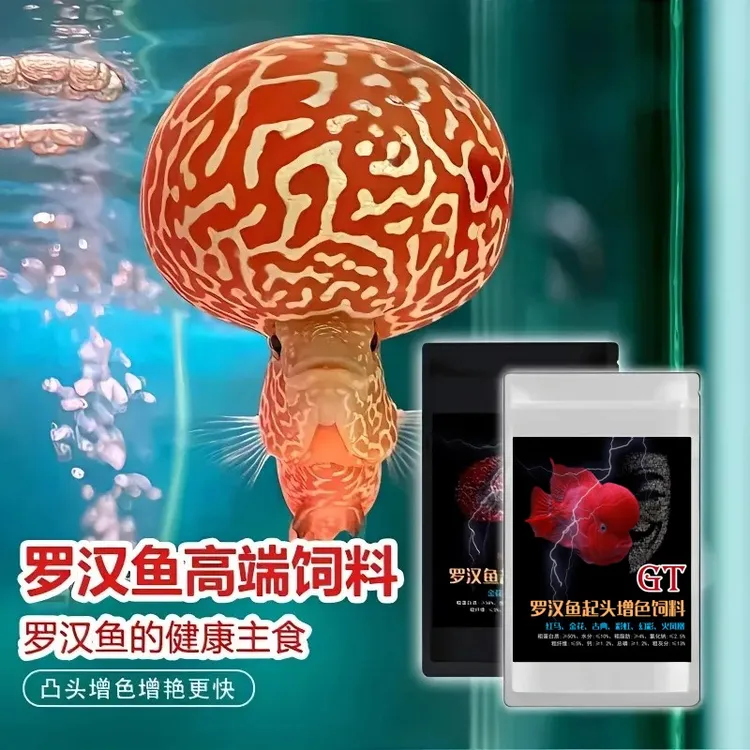 罗汉鱼饲料爆头起头增艳鱼食小颗粒高蛋白上浮型攻头增色增体鱼粮