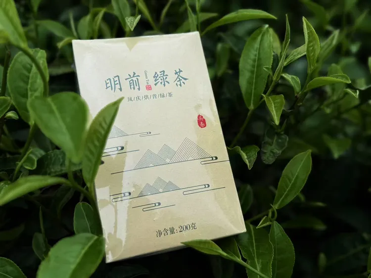 明前绿茶云雾新茶烘青早春茶叶豆香鲜爽型