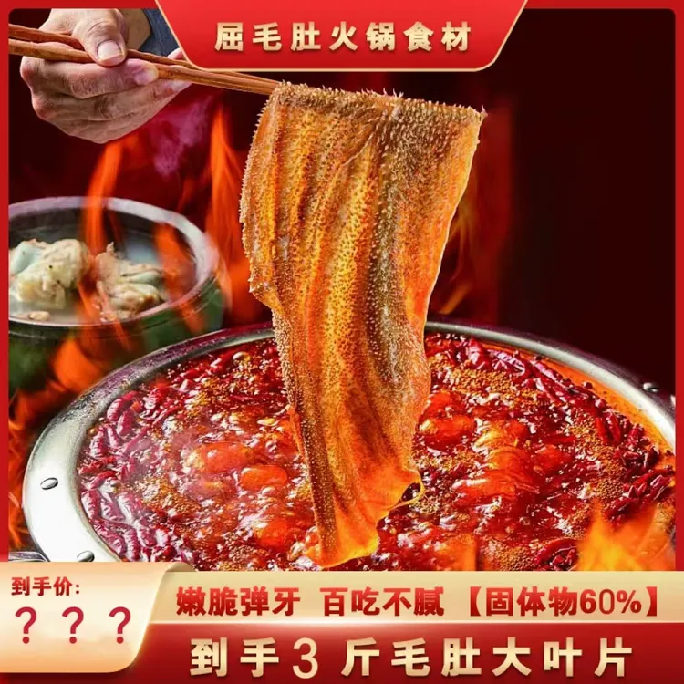 【霸王菜】3斤涮火锅必备食材大叶片毛肚Q弹脆爽 固形物含量60%以上