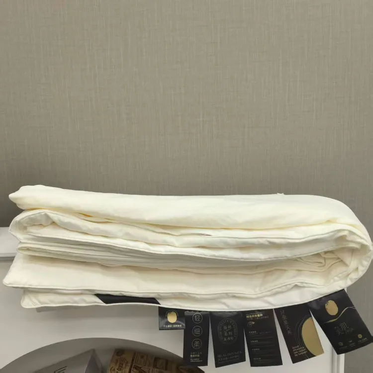 [孤品尾货清仓]蚕丝被被空调被3斤外贸空调被夏被夏季薄被子