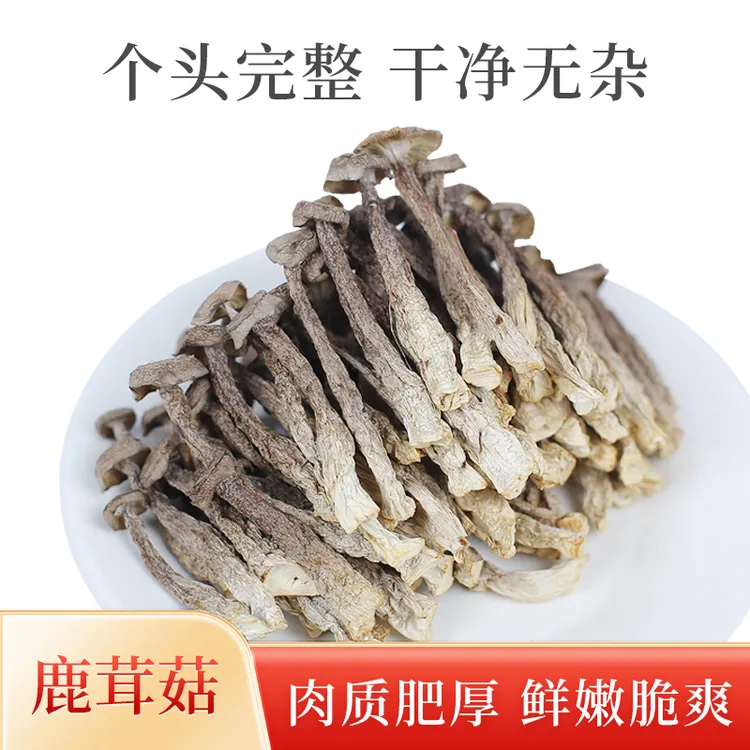 小鹿茸菇嫩仔菇无硫干货高山鹿茸菇炒菜炖煲汤鲜香脆嫩营养美味