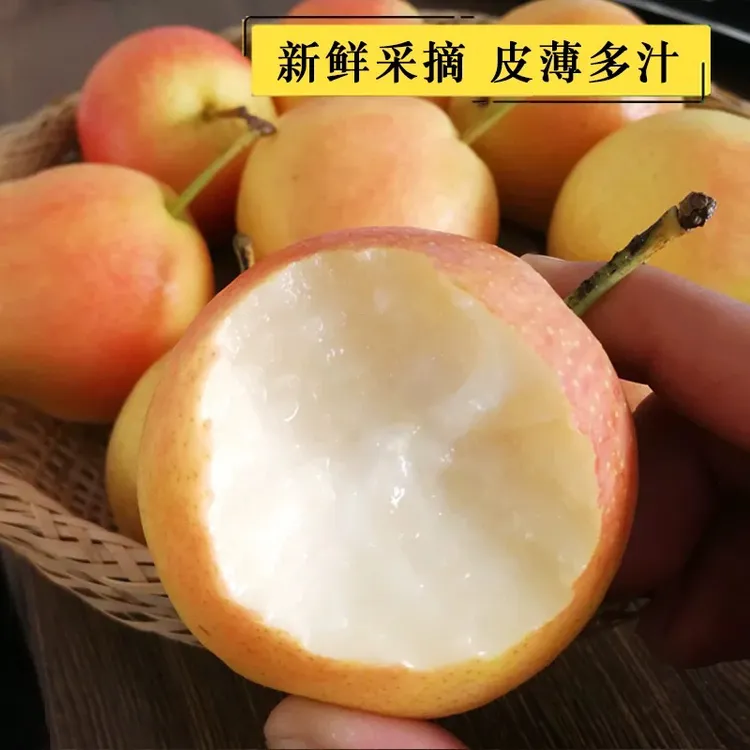 鞍山南果梨香甜多汁当季应季梨现摘现发网红水果旅行香蕉梨梨子