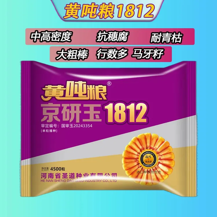 国审黄吨粮京研玉1812 抗穗腐耐高温 抗病抗倒 高产玉米种子