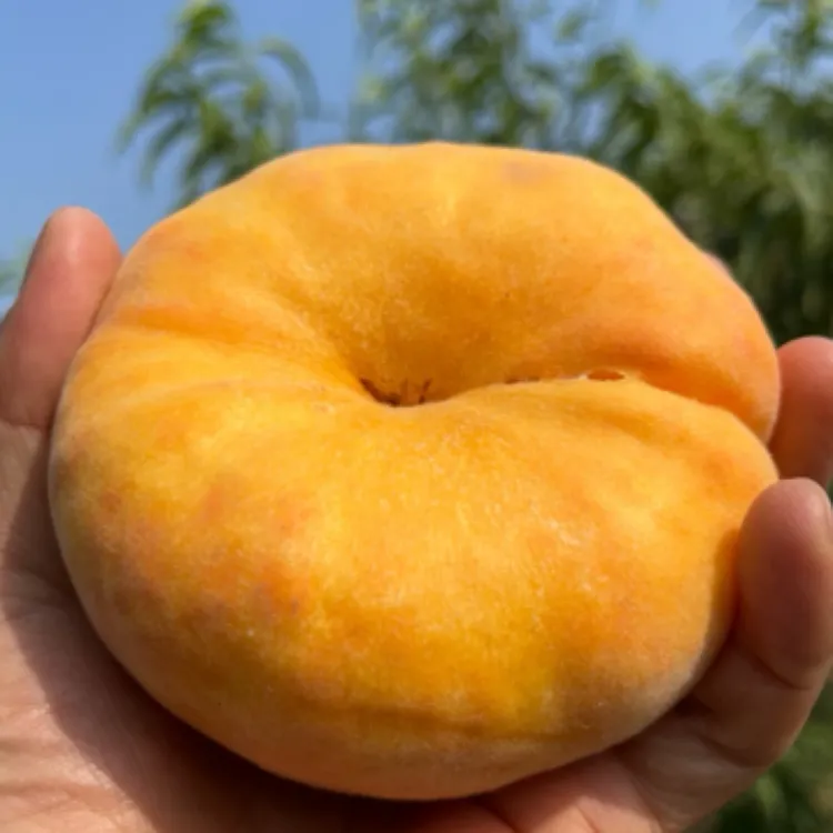 陕西黄金大蟠桃香甜爆汁应季水果果农现摘新鲜桃子